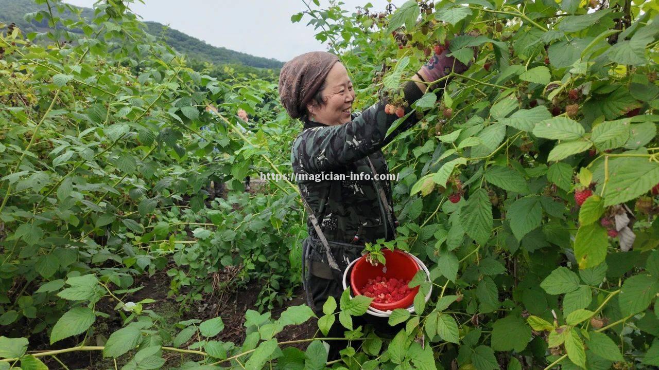 索诺金飘言主场挑汇纪，怕赫总率狂胜